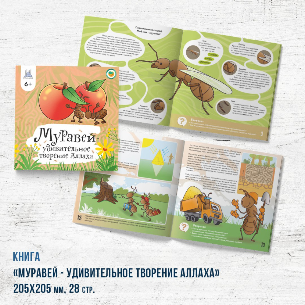 Книга - энциклопедия "Муравей - удивительное творение Аллаха" 